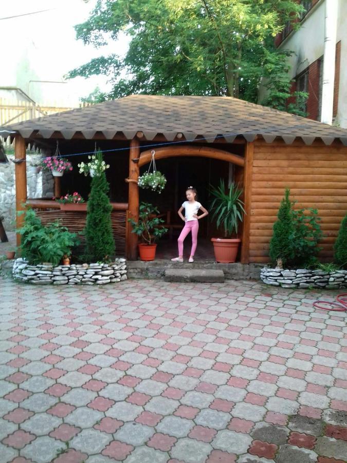 Над Вичов Volovets Dış mekan fotoğraf