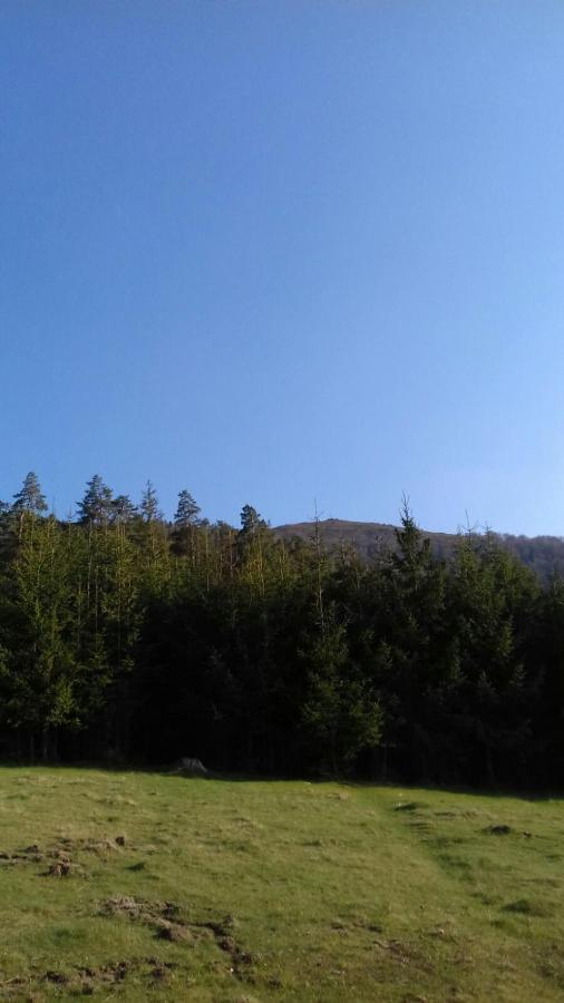 Над Вичов Volovets Dış mekan fotoğraf