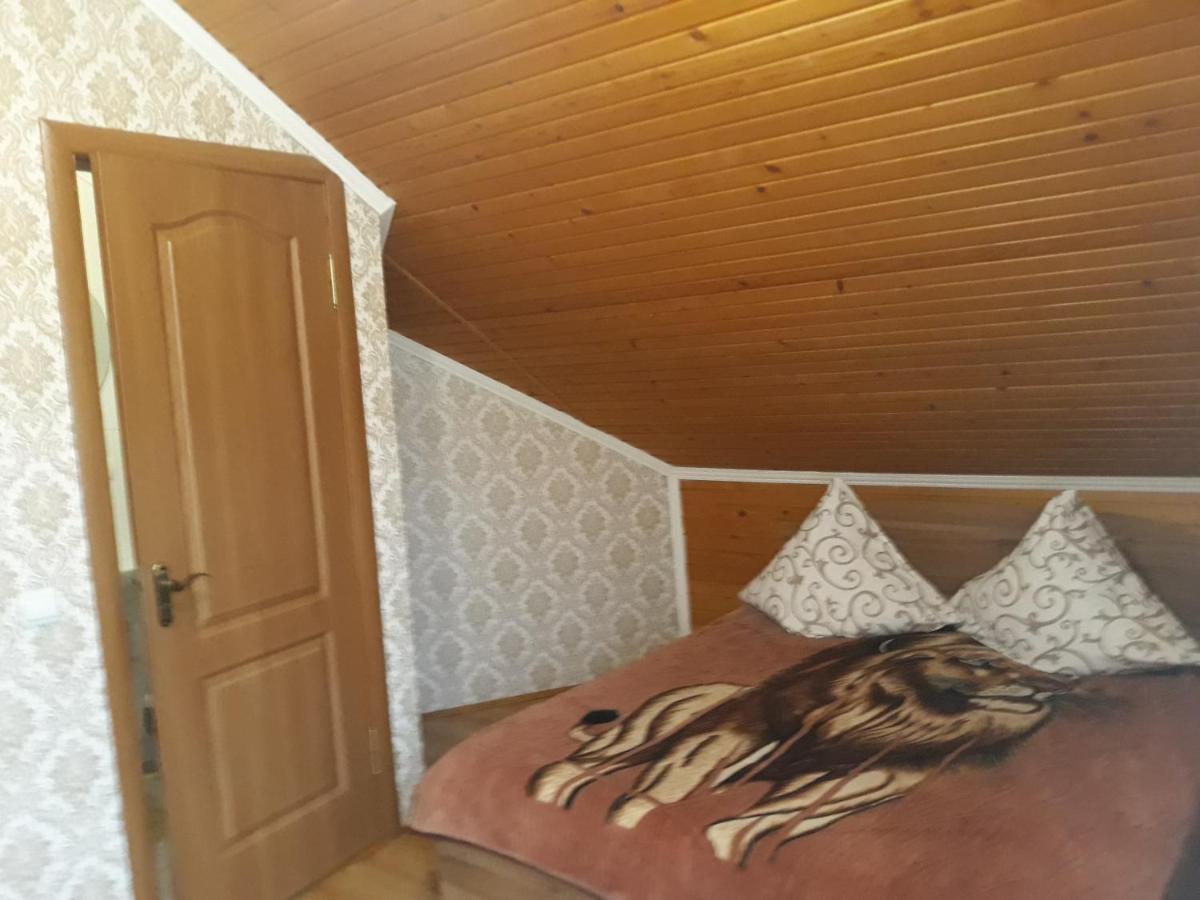 Над Вичов Volovets Dış mekan fotoğraf